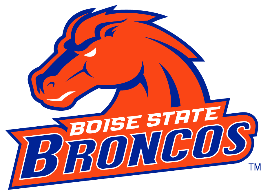 Boise State Broncos 2002-2012 Secondary Logo v8 diy iron on heat transfer
